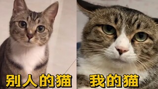 到底哪里出了问题….