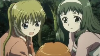 The Evolution of Magical Transformation (1989-2024)