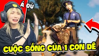 Nếu Mình Có Cuộc Sống Của " 1 CON DÊ " Thì Sẽ Như Thế Nào ???