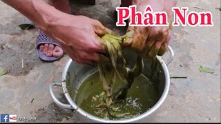 TRAI BẢN | Pịa Dê ( Phân Non ) Món Ăn Đặc Sản Của Người Tây Bắc