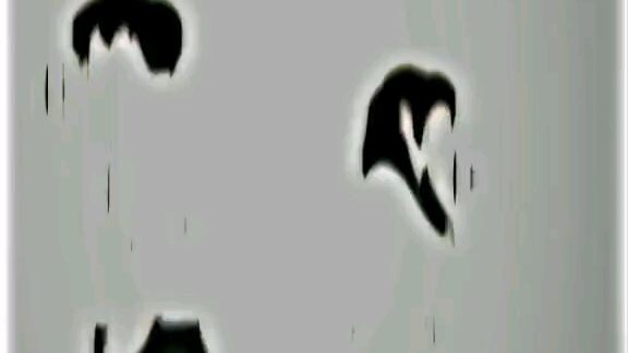 jedag jedug sesuai pasangan