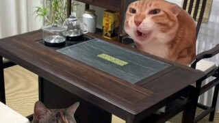 当你面试了个福建老板