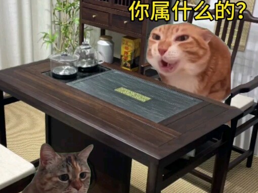 当你面试了个福建老板