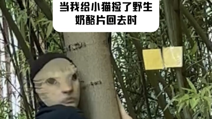 Xiao Mao, I finally found that cheese slice from three years ago!