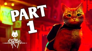 STRAY Gameplay Walkthrough Part 1 (Mr Game Home)