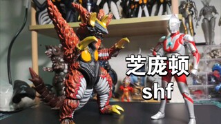 芝庞顿shf自改完成！