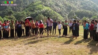 MỔ LỢN 90 KG CHIÊU ĐÃI CẢ BẢN NGÀY HỘI ĐẠI ĐOÀN KẾT TOÀN DÂN