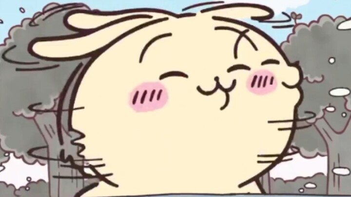 [chiikawa] ที่รัก คุณกลายเป็นกระต่ายหูตกไปแล้ว
