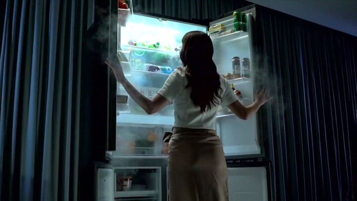 Toshiba Fridge (冰箱)