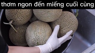 ngon lắm à nha #amthucduongpho#monngonmoingay