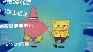 Shen (answer) sediment (braid) sponge