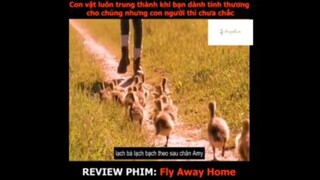 Tóm  tắt phim: Fly Away Home