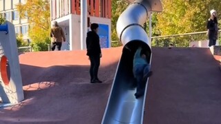 世界著名旅游胜地，波士顿警察滑梯