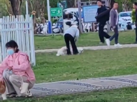 รู้สึกได้ถึงความสิ้นหวังของเจ้าของซาโสมีแล้ว