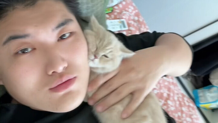 How can there be such a hateful little cat!!