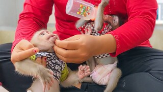 OMG!! Mom trying to take out little small things inside Yaya cheek can make the problem of breathing