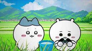 [เรื่องแปลก/ข้อควรระวัง] สนุกกับฤดูร้อนไปกับชิอิคาวะ! [ชิอิคาวะ นิชโช]