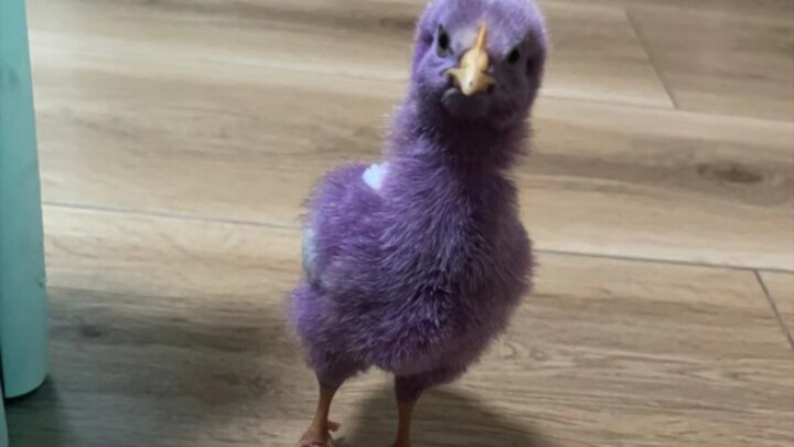 Hôm đó, chỉ vì ở cổng trường, tôi đã nhìn em thêm một cái mà thôi.