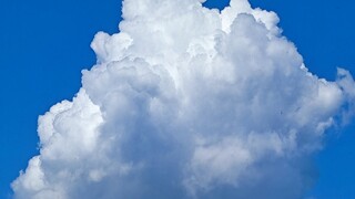 Florida tidak membesarkan para pemalas