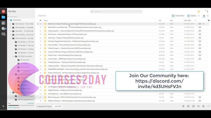 Bretty Curry (Smart Marketer) - Smart Google Traffic Download