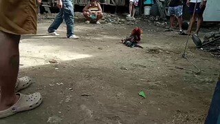 tupada mna wla pa badjet pang Sabungan😁