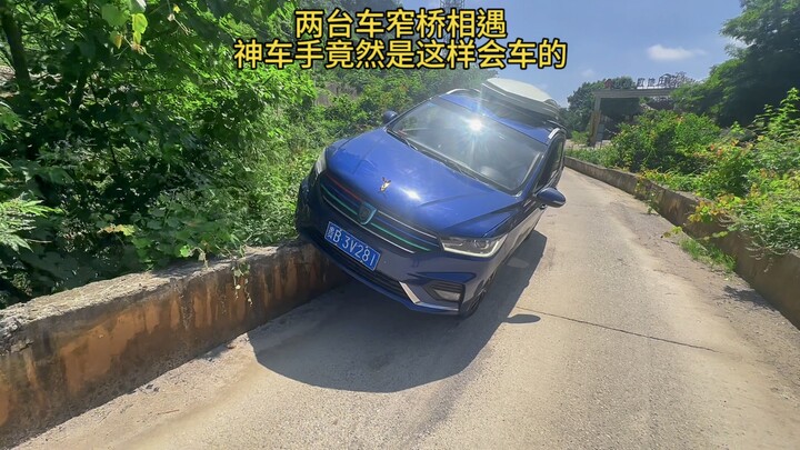 When Two Cars Meet on a Narrow Bridge, This Pro Driver Handles It Like This!