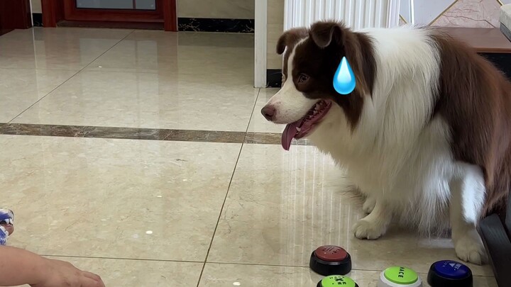 Puppy's Daily Double Standards