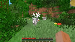 Khoảnh khắc vui vẻ Minecraft #106