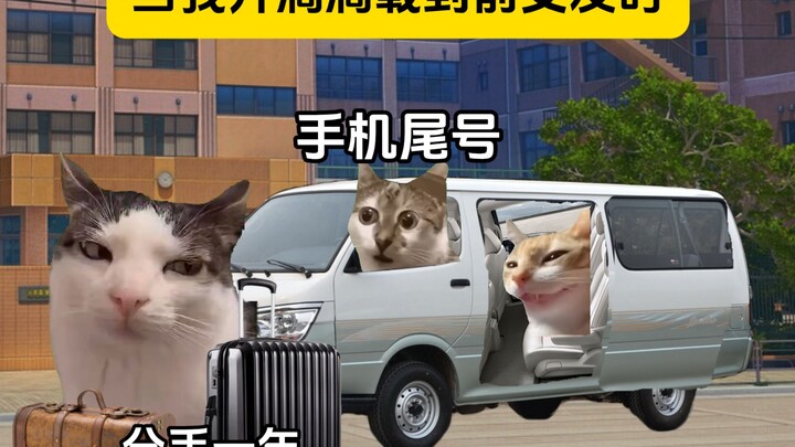 当我开滴滴遇到前女友时