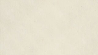 incognito 10_sub Indo