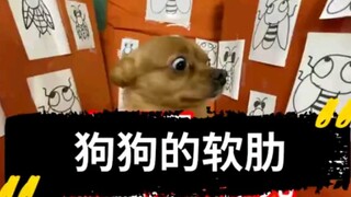 สุนัขจ่าฝูงยังมีจุดอ่อนอยู่หรือ?