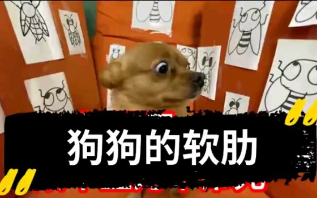 สุนัขจ่าฝูงยังมีจุดอ่อนอยู่หรือ?