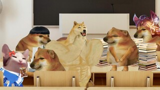 Sự khác biệt giữa nam và nữ