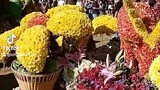 Flower Festival Baguio City