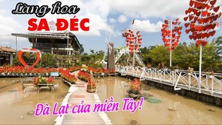 LÀNG HOA SA ĐÉC đẹp phát cuồng, người Miền Tây cần gì đi Đà Lạt