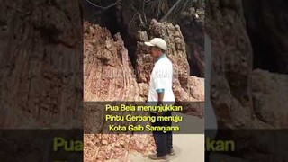 VIRAL ! Pintu Gerbang tak kasat mata Kota Gaib Saranjana #saranjana #kotagaib #misteridunia #shorts