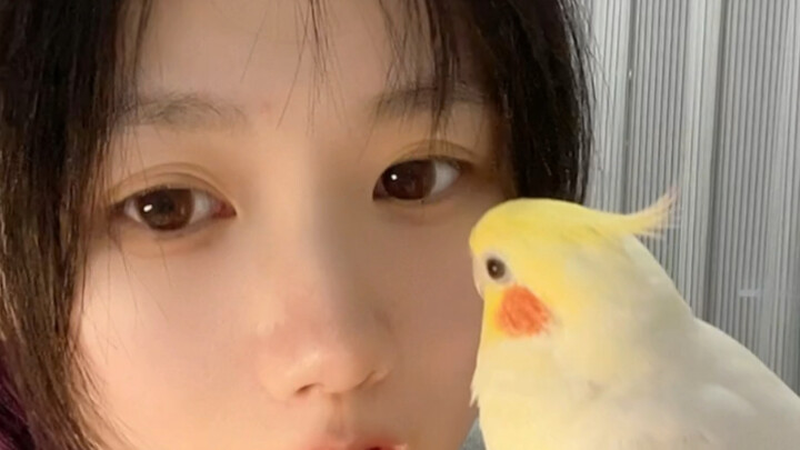 “Can you tell the story of how you picked me out of a bunch of birds again?”