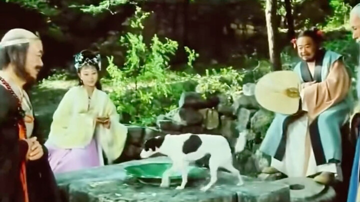 This poor dog really had a tragic end—thinking it would be blessed by a deity, it ended up getting r