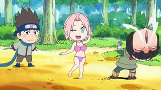 Konohamaru Aprende Nuevas Técnicas Ninja | Naruto SD Resumen Parte 1