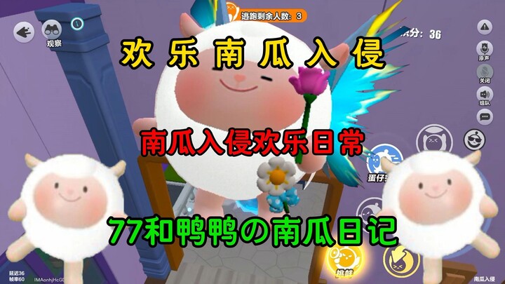 【การบุกของฟักทอง】ใครจะซวยได้ขนาดนี้! ไดอารี่ฟักทองของ 77 กับตัวเป็ด!