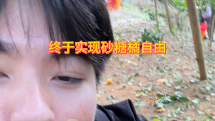 أخيرًا حققت حريتي في تناول برتقال السكر!