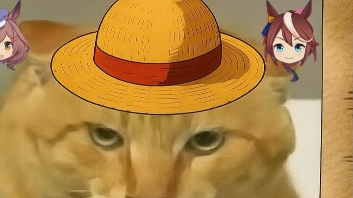 【موسيقى هاكيمي】 هجوم متقدم من ماتيي《هجوم لوفي المدمر！(هجوم لوفي المدمر)》