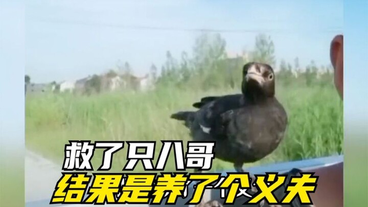 كاد رد الجميل أن يتحول إلى إبلاغ عن الشرطة، هل كان السطو جدياً حقاً...