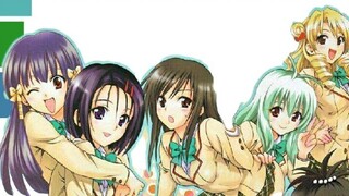 Anime harem nào được yêu thích nhất? Bạn sẽ biết sau khi đọc bảng xếp hạng này! [trực quan hóa dữ li