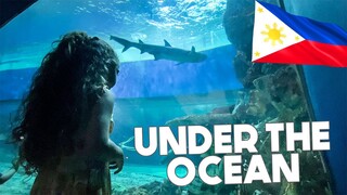 The Most INTENSE Aquarium EVER 🇵🇭 Manila's CRAZY Oceanarium
