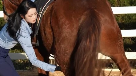 Exquisite Equestrian Skills