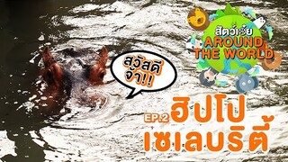 สัตว์เอ๋ย around the world EP.2 ฮิปโปเซเลบริตี้ | สัตว์เอ๋ย