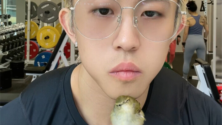 Prince Vegeta Saves a Little Bird from Beerus!