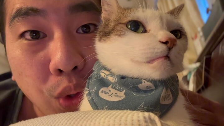 Everyone, a cat’s whiskers bring good luck!