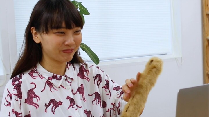 Making a Tool that Can Make People Think You Have a Cat